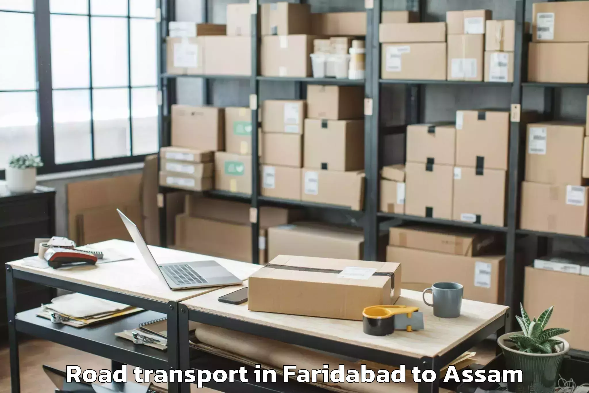 Professional Faridabad to Phuloni Road Transport